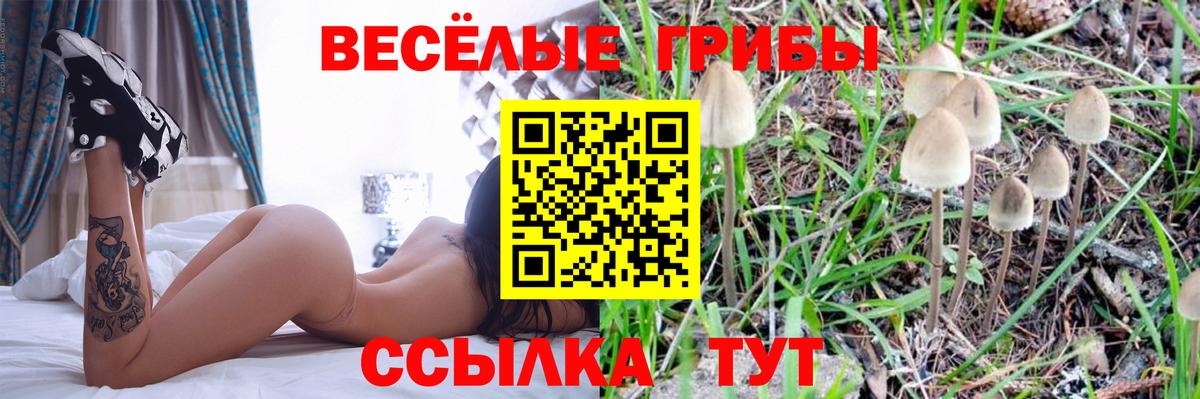 Псилоцибиновые грибы MAGIC MUSHROOMS  Галлюциногенные грибы мицелий  Вход с VPN  купить   Лянтор 